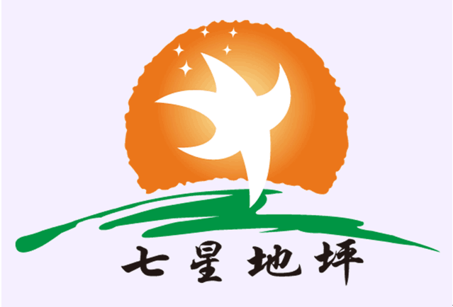 化塑链在线市场